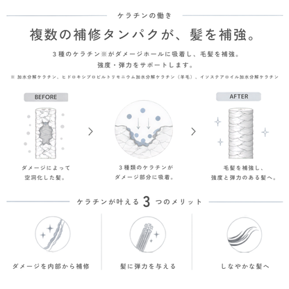 MIRAIGAMI EMULSION